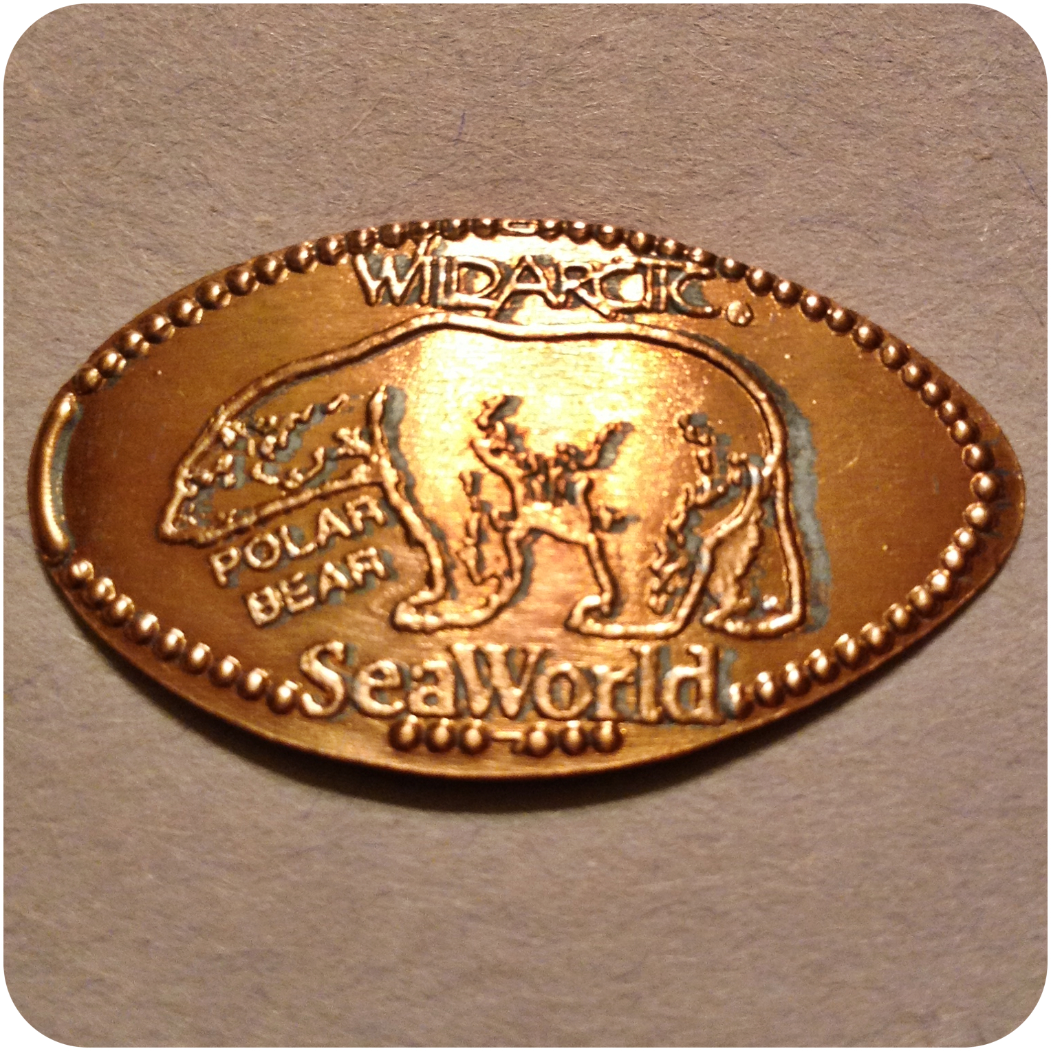 Retired Polar Bear, WildArtic, SeaWorld, San Diego, CA California Elongated Coin