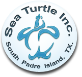 Sea Turtle, Inc Logo