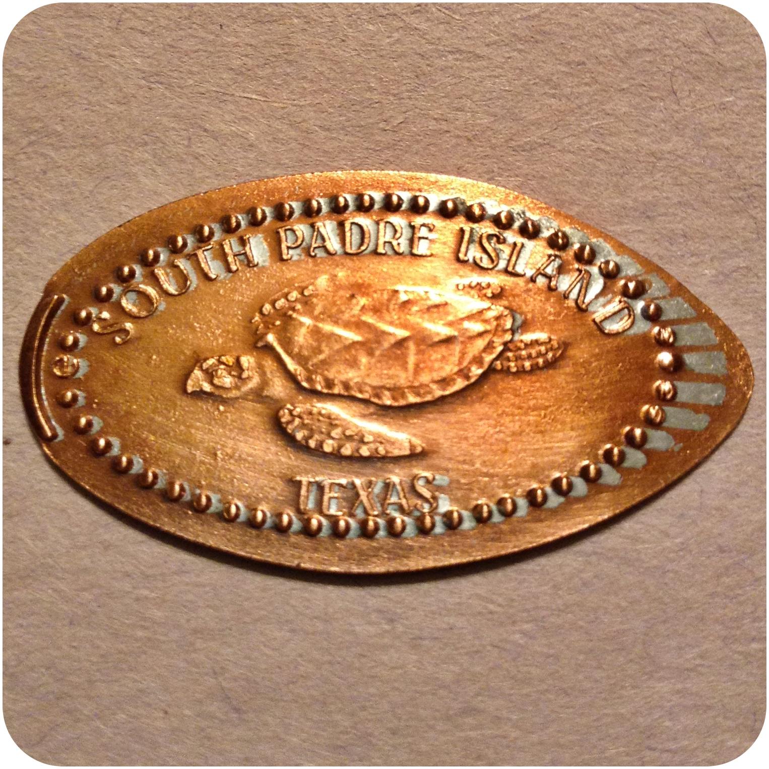 Sea Turtle, Inc. Founded By Ila Fox Loetscher, South Padre Island, TX Texas Coin