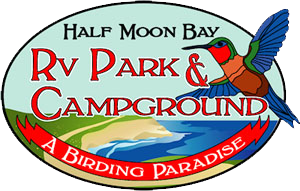 Half Moon Bay RV Park & Campground