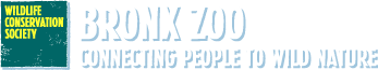 Bronx Zoo / Wildlife Conservation Society