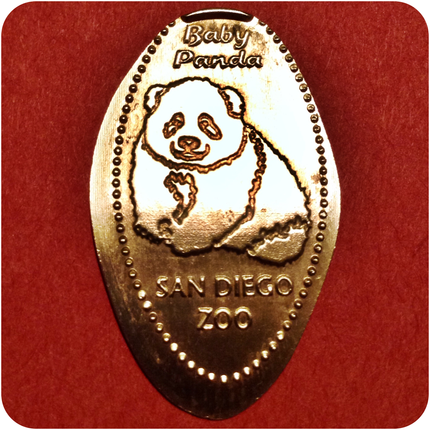 Baby Panda - Asian Passage, San Diego Zoo - Balboa Park, California Copper Penny