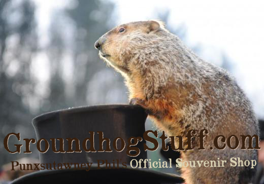 Punxsutawney Phil’s Official Souvenir Shop