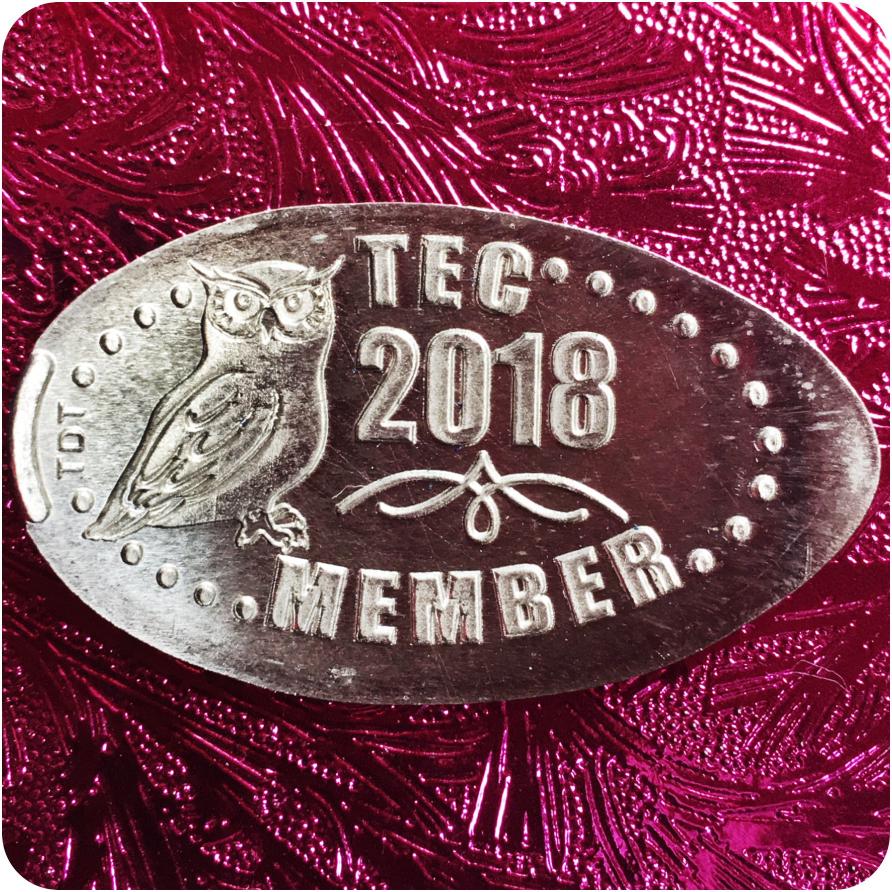 The Elongated Collectors (TEC) Member 2018